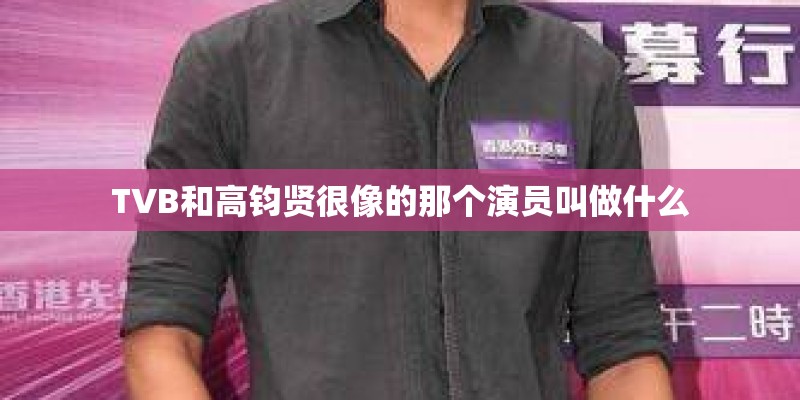 TVB和高钧贤很像的那个演员叫做什么