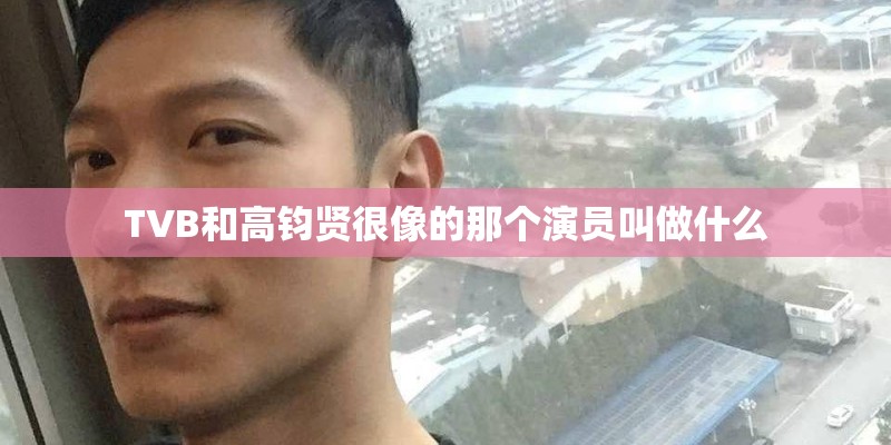 TVB和高钧贤很像的那个演员叫做什么