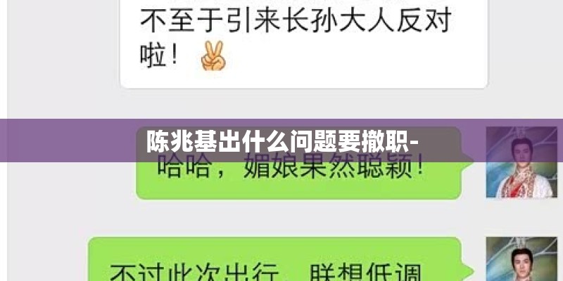 陈兆基出什么问题要撤职-