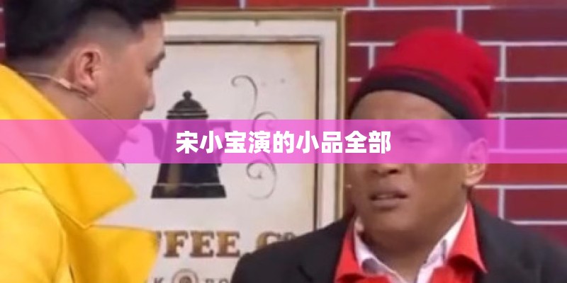 宋小宝演的小品全部