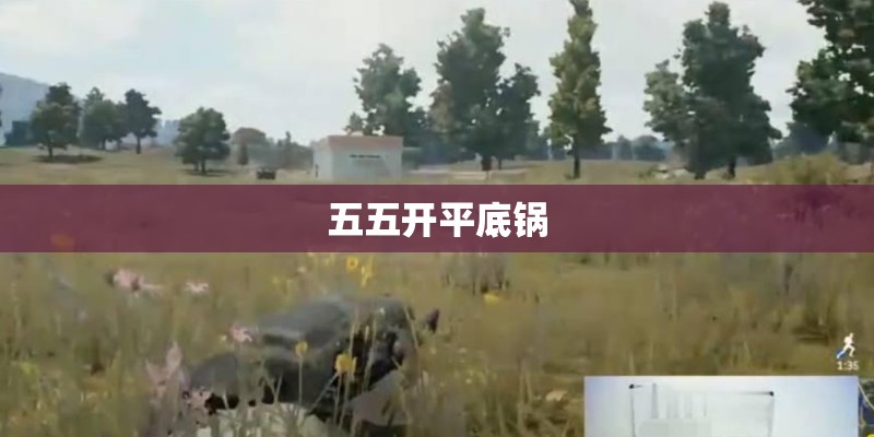 五五开平底锅