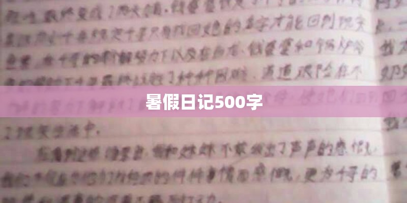 暑假日记500字