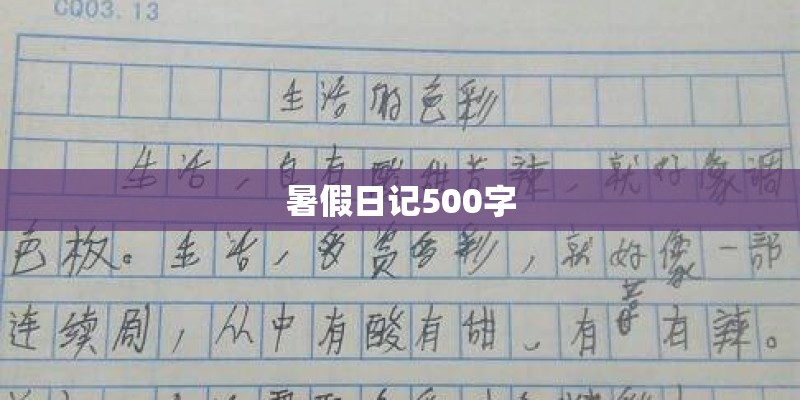 暑假日记500字