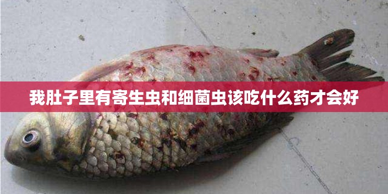 我肚子里有寄生虫和细菌虫该吃什么药才会好
