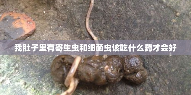 我肚子里有寄生虫和细菌虫该吃什么药才会好