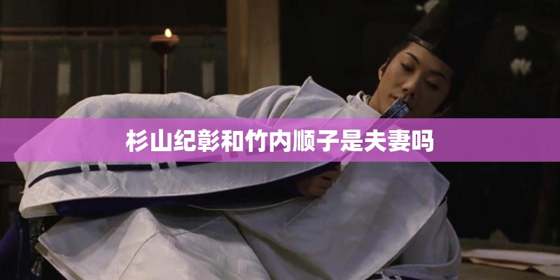 杉山纪彰和竹内顺子是夫妻吗 杉山纪彰和竹内顺子是夫妻吗