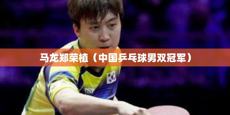 马龙郑荣植(中国乒乓球男双冠军) 马龙郑荣植(中国乒乓球男双冠军)