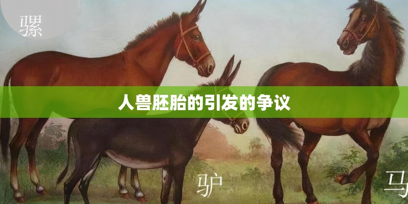 杉山纪彰和竹内顺子是夫妻吗