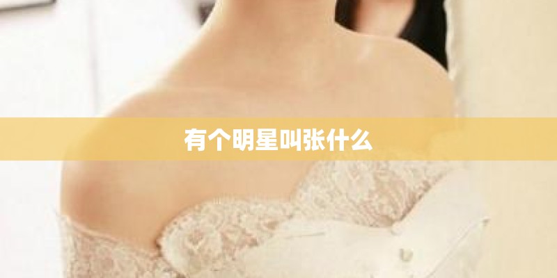 有个明星叫张什么