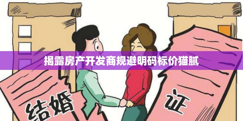 揭露房产开发商规避明码标价猫腻