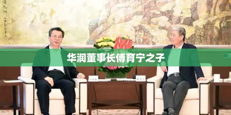 华润董事长傅育宁之子