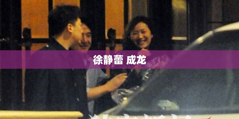 徐静蕾 成龙