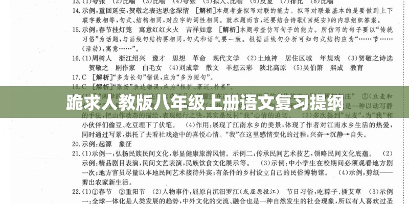 跪求人教版八年级上册语文复习提纲