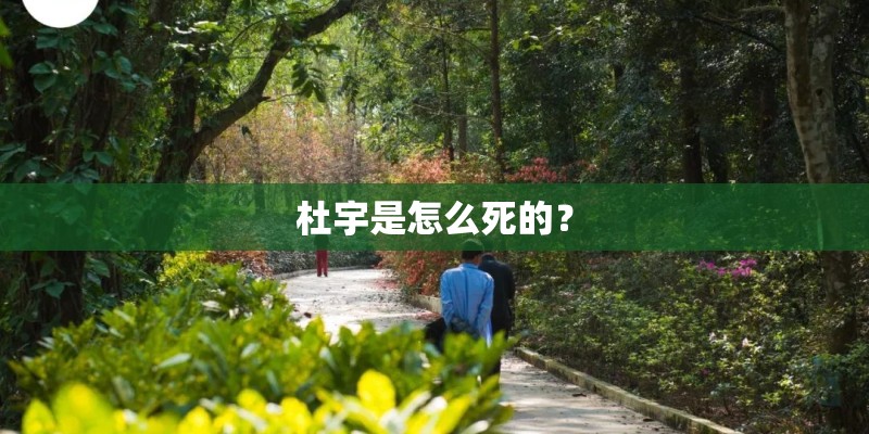 杜宇是怎么死的？