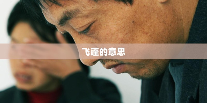 飞蓬的意思 飞蓬的意思