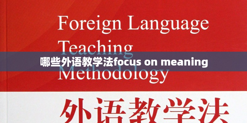 哪些外语教学法focus on meaning