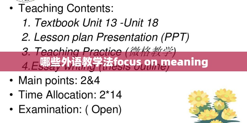 哪些外语教学法focus on meaning