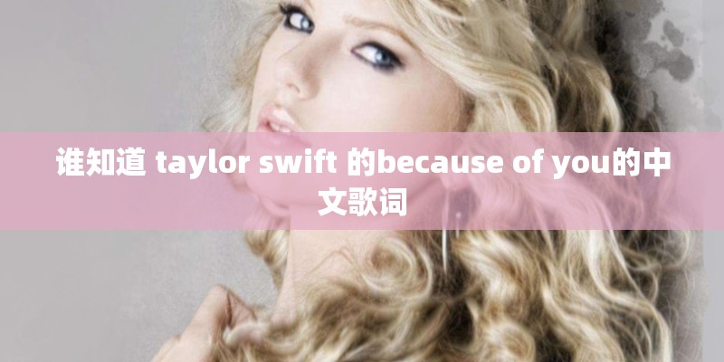 谁知道 taylor swift 的because of you的中文歌词