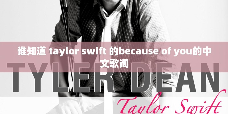 谁知道 taylor swift 的because of you的中文歌词
