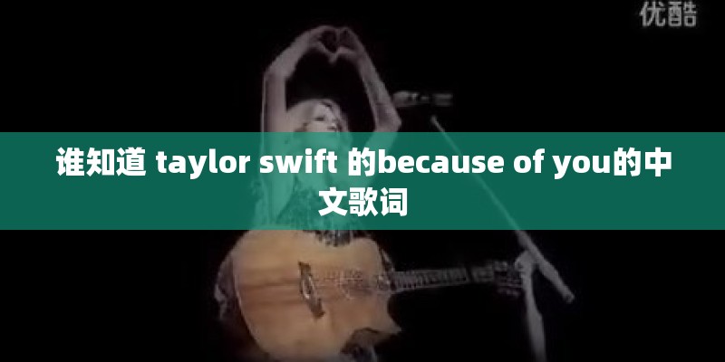 谁知道 taylor swift 的because of you的中文歌词