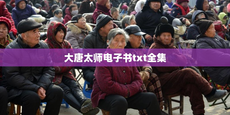 大唐太师电子书txt全集