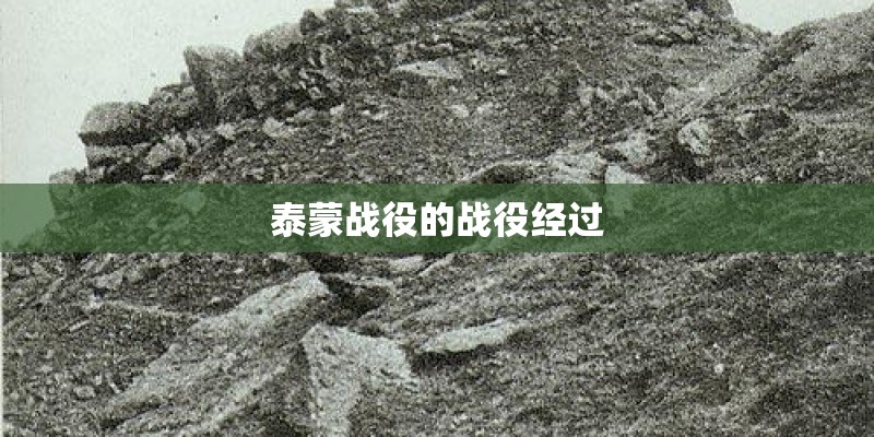 泰蒙战役的战役经过