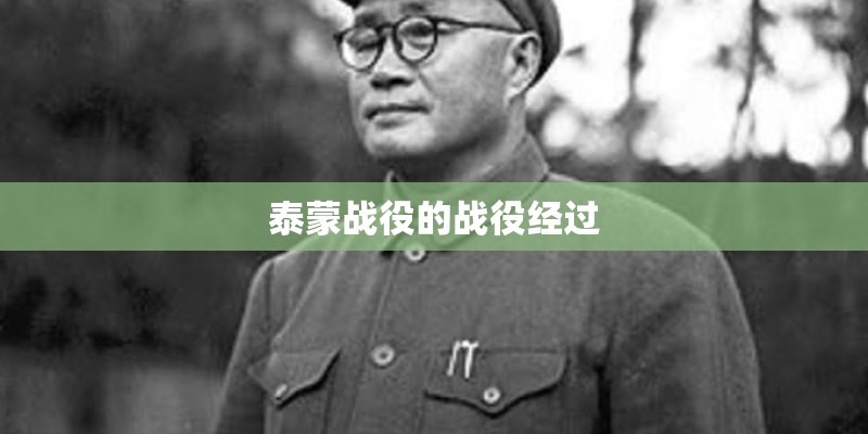 泰蒙战役的战役经过