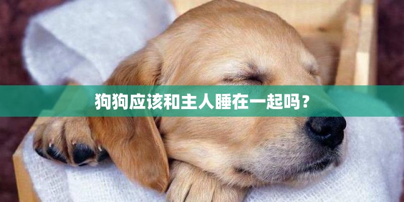 连晨翔的人物评价