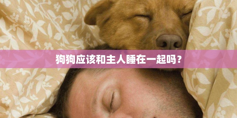 狗狗应该和主人睡在一起吗？