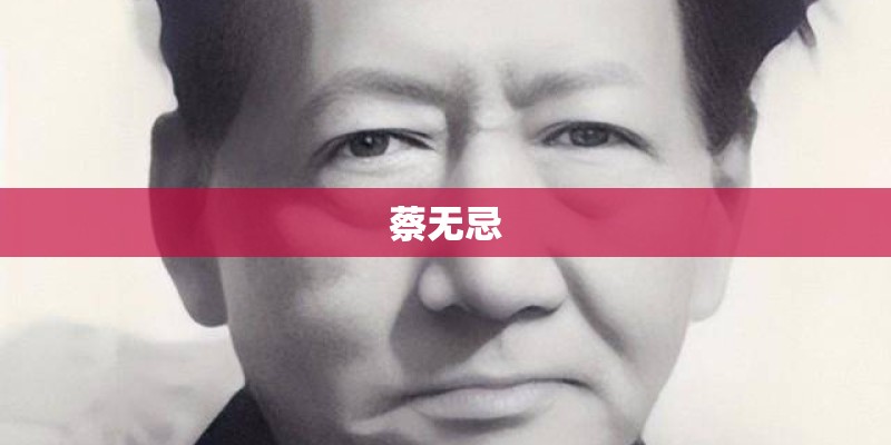 蔡无忌