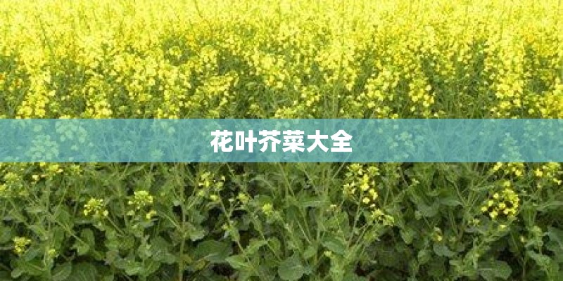 【ac】《穿成反派总裁小情人》-季轻舟+楚诚
