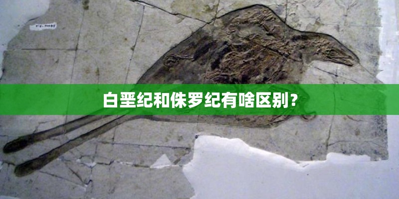 白垩纪和侏罗纪有啥区别？