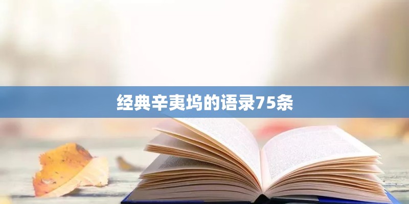经典辛夷坞的语录75条
