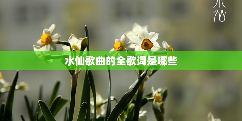 中国“洋孩”李忆祖一生中有什么样的经历？