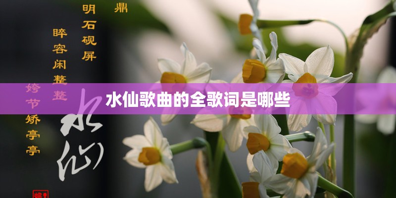 水仙歌曲的全歌词是哪些