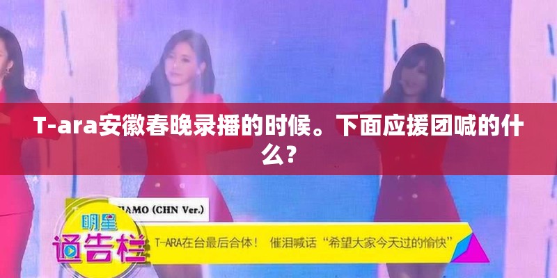 T-ara安徽春晚录播的时候。下面应援团喊的什么？