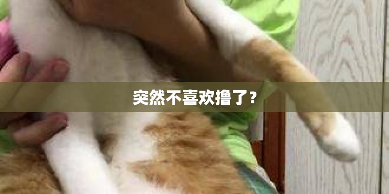 突然不喜欢撸了？