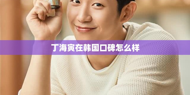 丁海寅在韩国口碑怎么样