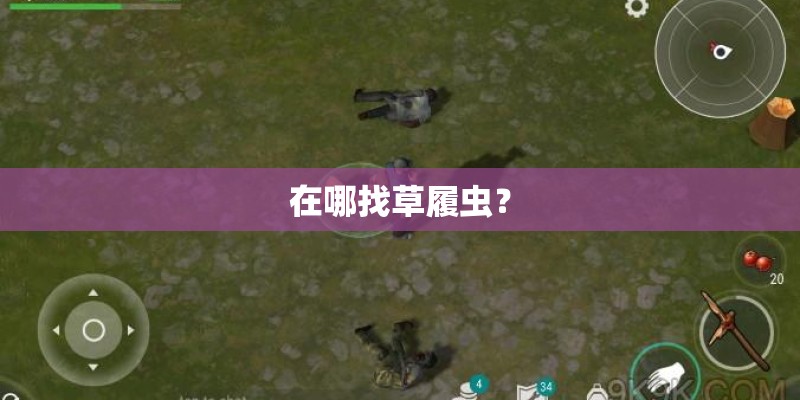 在哪找草履虫？