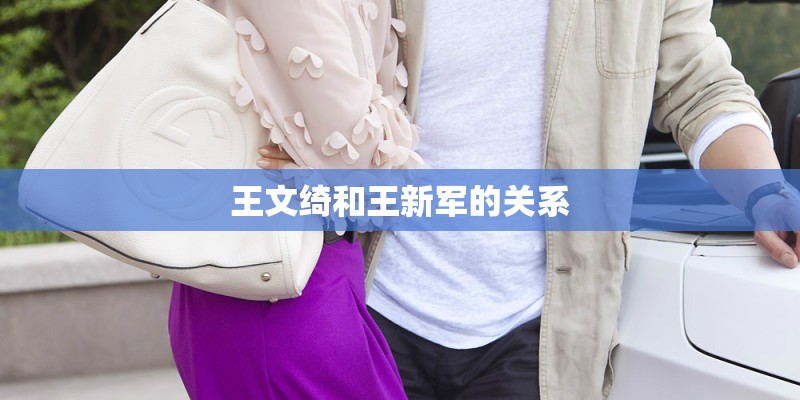 王文绮和王新军的关系