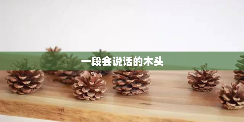 一段会说话的木头