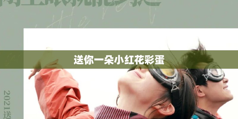 送你一朵小红花彩蛋