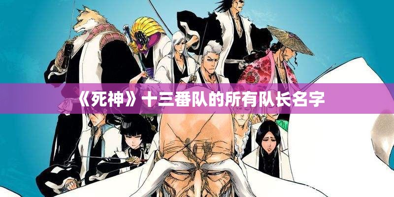 《死神》十三番队的所有队长名字