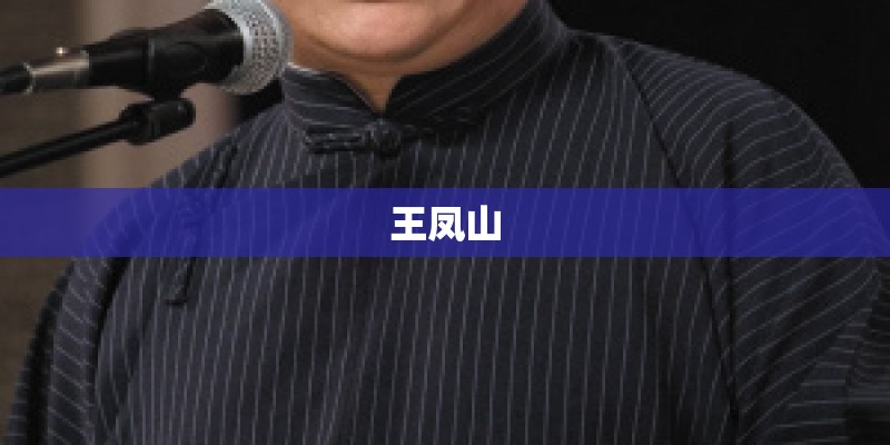 王凤山